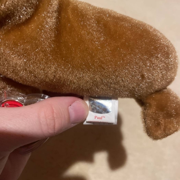 TY Beanie Baby Paul - Picture 2 of 4
